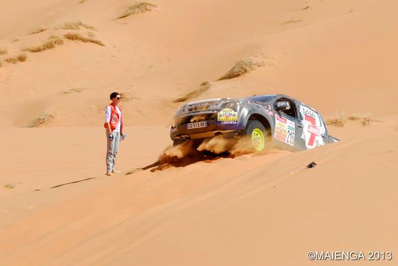 Les deux Gazelles dansles dunes 