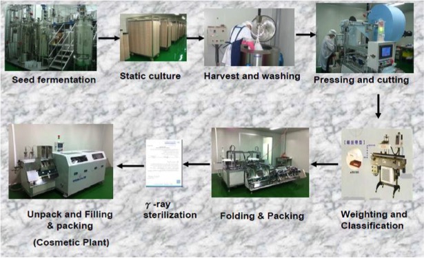 Visoanska Biocellulose Mask Processes