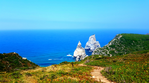 Visoanska Plantes adaptogène à Praia da Ursa au Portugal