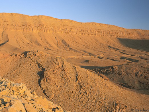 Sahara : la traversée du désert au pas de course